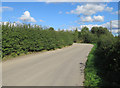 Lodge Farm driveway