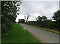 East Norton Road towards Hallaton