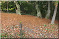 Footpath crossroads in the woods