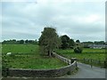 Farm drive leading from the A3 (Monaghan Road)