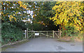 Driveway to Lake Veiw House