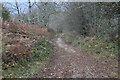 ST2389 : Lane, fringe of Mynydd Machen Common by M J Roscoe