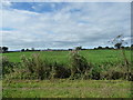 Farmland east of Decoy Farm