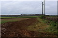 Farmland beside Jewitt Lane