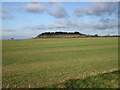 View towards Loveden Hill