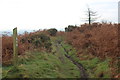 ST2289 : Rhymney Valley Ridgeway Footpath, Mynydd Machen by M J Roscoe