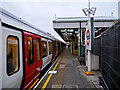 District Line Train at Putney Bridge