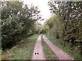 Track  and  bridleway  through  Oak  Wood  Ramsdale