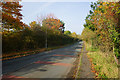 Crossing on Mill House Lane