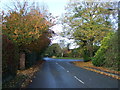 Bend in Bow Lane, Bowgreen