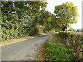 Road into Birlingham