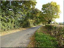 SO9243 : Road into Birlingham by Philip Halling