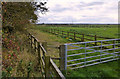 Coastal Fields Near Gretna