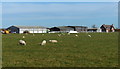 Farm buildings near Barton in the Beans