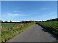 Looking along Newton Lane towards Inadown Farm