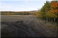 Stubble near Drumellie