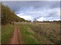 Footpath and field on Pynes Hill