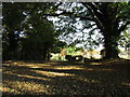 The churchyard, Radstone