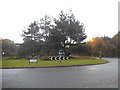 Roundabout on Horsell Common