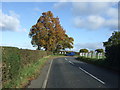 Sharp bend in Ashley Road