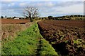 Public Footpath to the North of Bramham