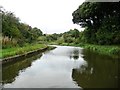 Trent & Mersey Canal, near Dutton Hollow Farm