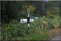 SU8631 : Signpost outside Linchmere by Robert Eva