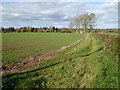 Farmland near Hall Farm, Birlingham