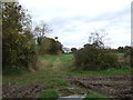 Field entrance south west of Middlewich