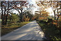 The Avenue, Dumfries House Estate