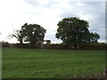 Grazing, Bradfield Green