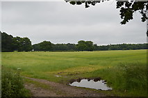 TM1333 : Farmland near Stutton Mill by N Chadwick