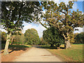 Road on Wentworth Golf Course