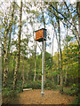 Bat Box in the Woods