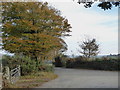 The lane leading from Kingbeare to Botternell