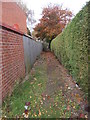 Footpath - Green Lane