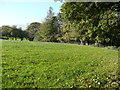 View of a field from Colby Woodland Garden, Amroth