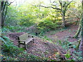 Seat at the top of the west wood, Colby Woodland Garden, Amroth