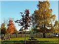 Green space on an industrial estate