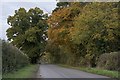 Lane towards Everingham