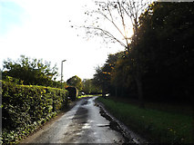 TL1614 : Cherry Tree Lane, Lea Valley, Wheathampstead by Geographer