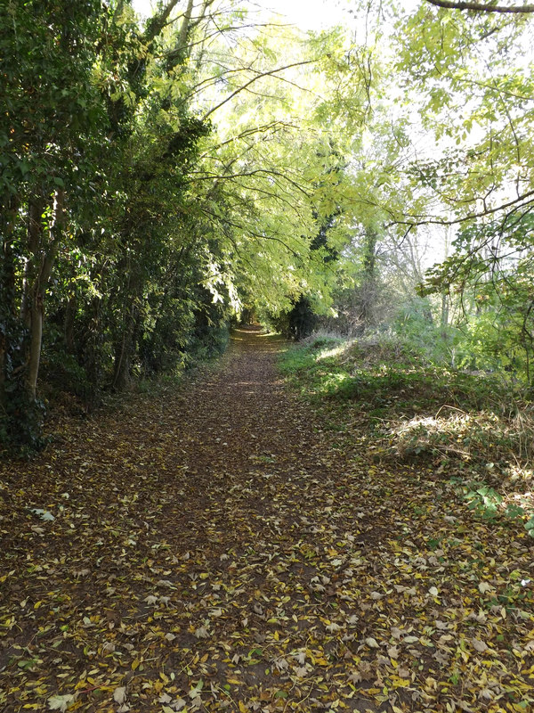 Lea Valley Walk Bridleway to Batford... © Geographer cc-by-sa/2.0 ...