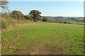 Pasture west of New House Farm