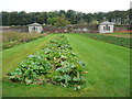 Pavilions in the Walled Gardens, Stackpole