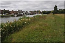 SU4996 : The Thames Path at Abingdon by Philip Halling