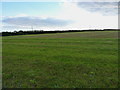 Field above Great Lizzen farm