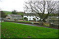 Stackpole Quay Farm