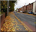 Autumn leaves, Park End Road, Gloucester