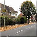 Camera Controlled Speed Zone sign, King Edward