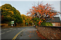 Autumn on King Edward Road, Knutsford